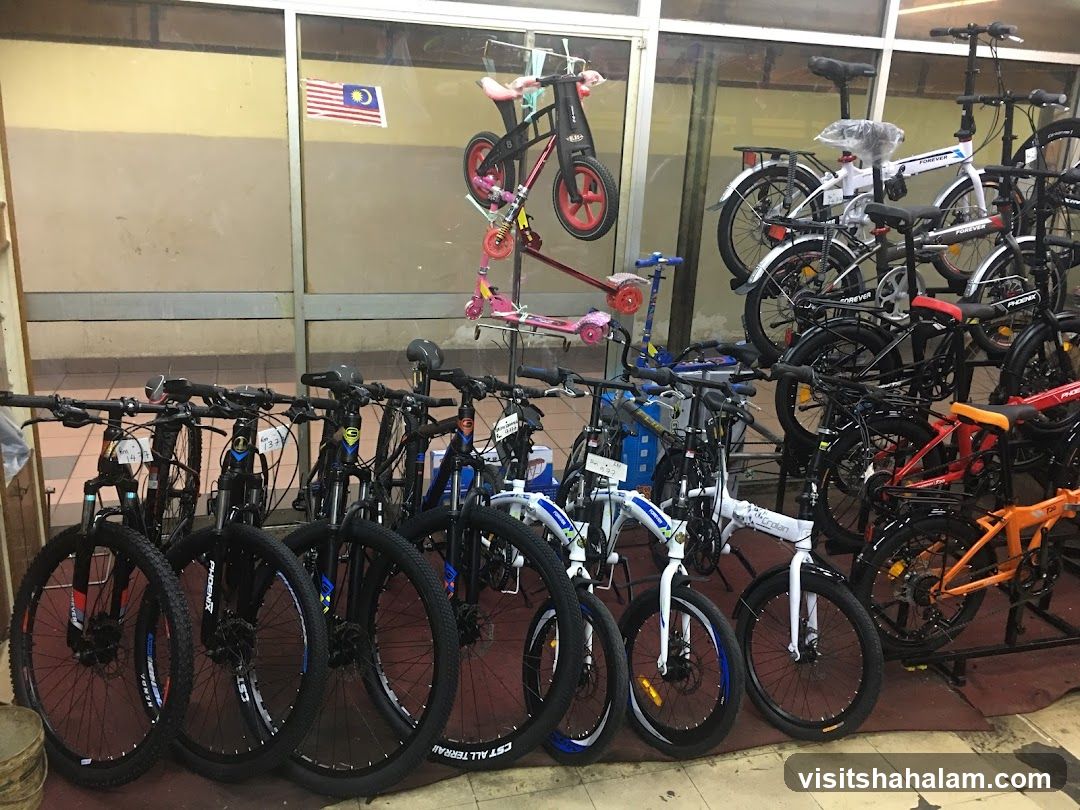 Bicycle Shop Display