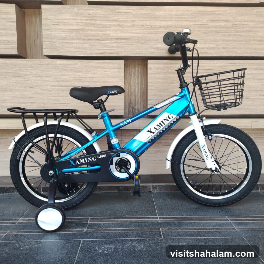Blue Bicycle with Training Wheels