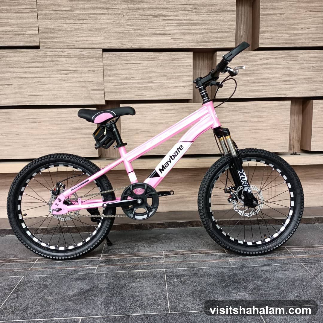 Pink Bicycle