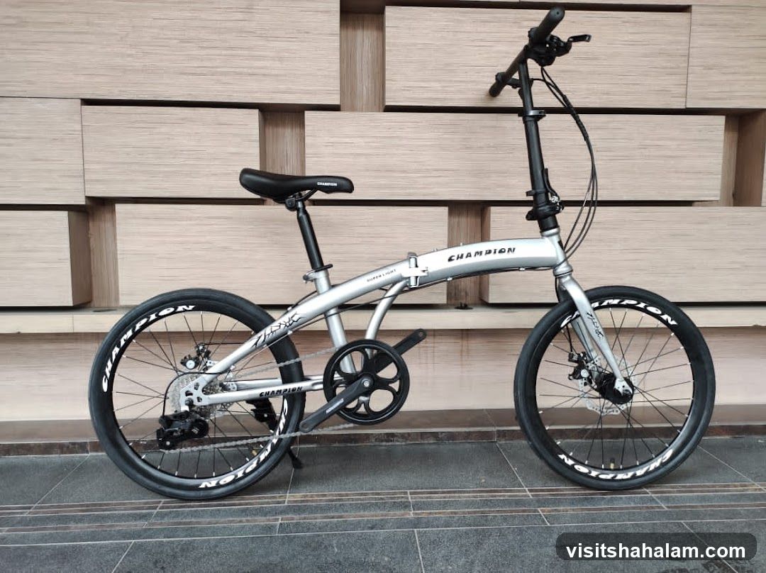 Silver Folding Bicycle