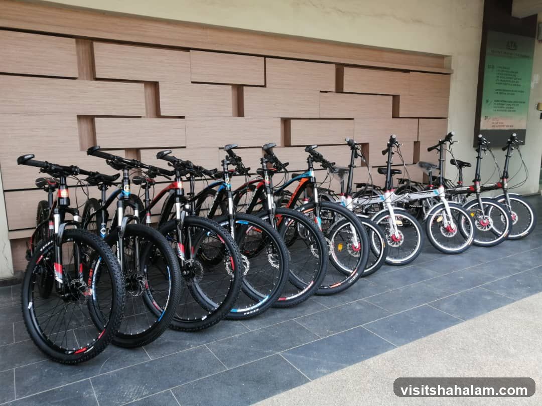 Bicycles Lined Up