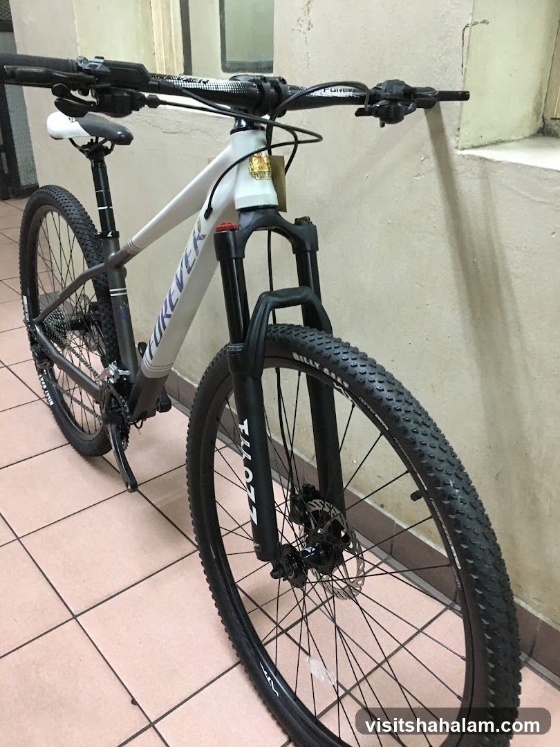 Mountain Bike