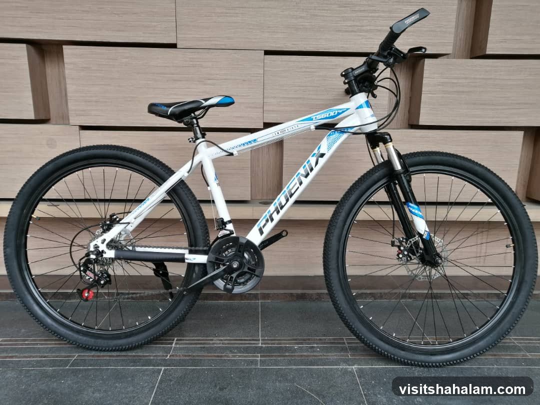 White Phoenix Bicycle
