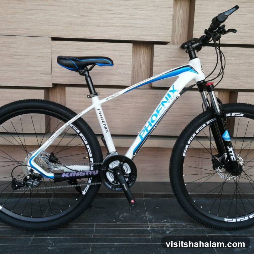 Phoenix Mountain Bike