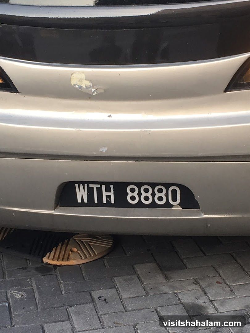 License Plate and Sandal