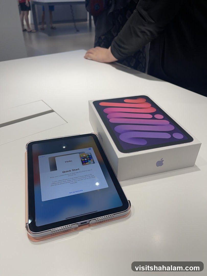 iPad Mini Setup