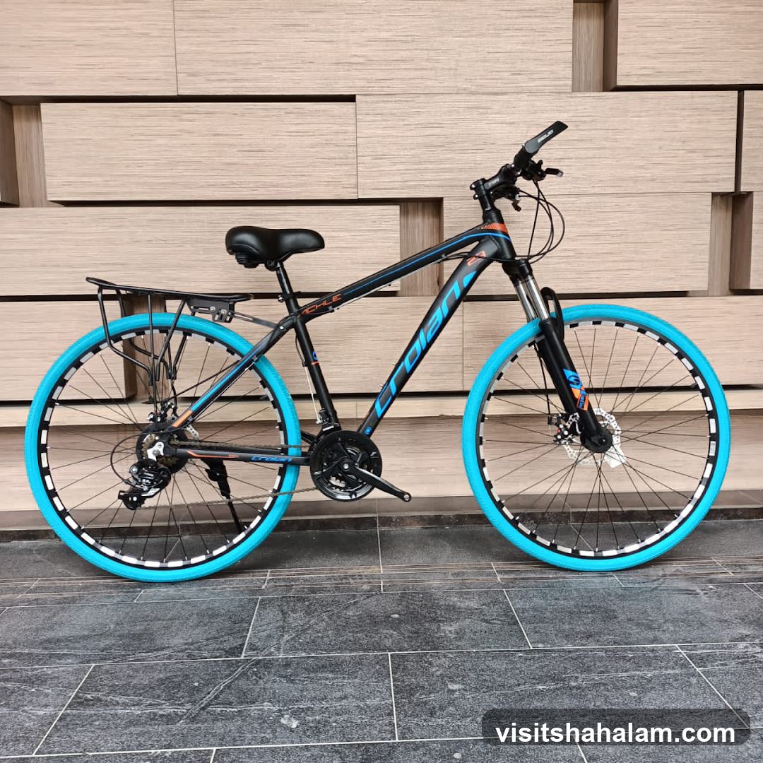 Bicycle with Blue Tires