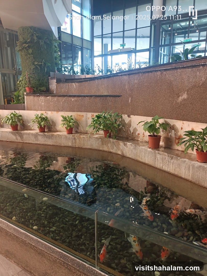 Indoor Koi Pond with Plants