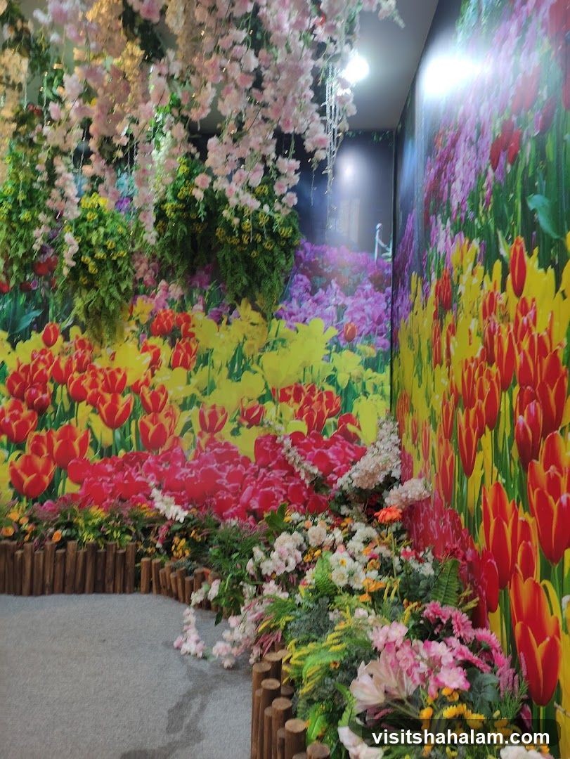 Floral Display