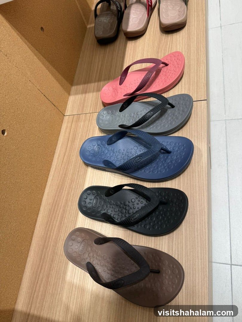 Scholl