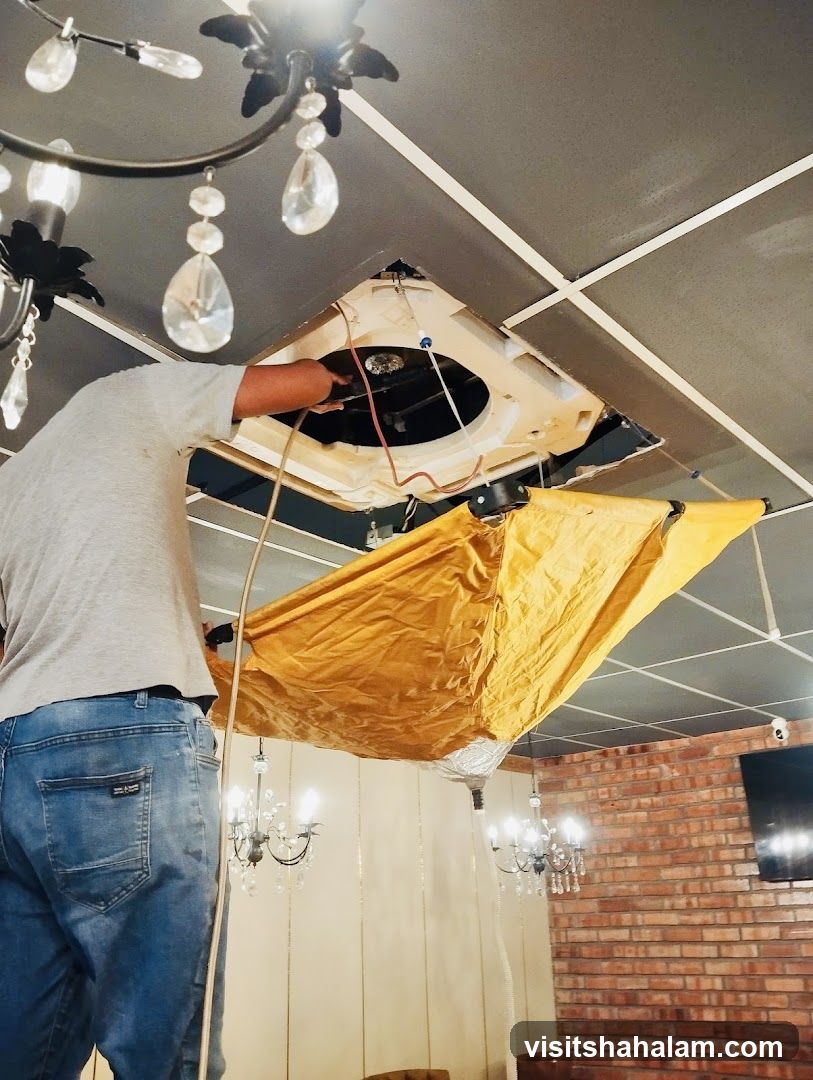 Ceiling Repair