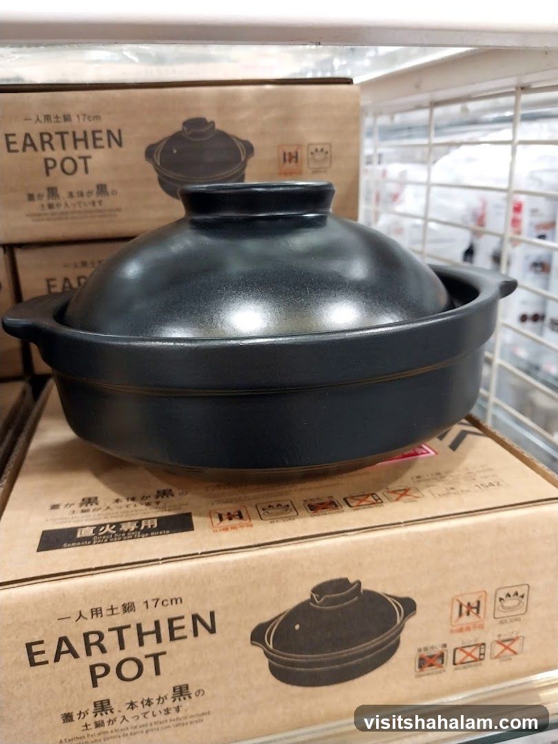 Earthen Pot