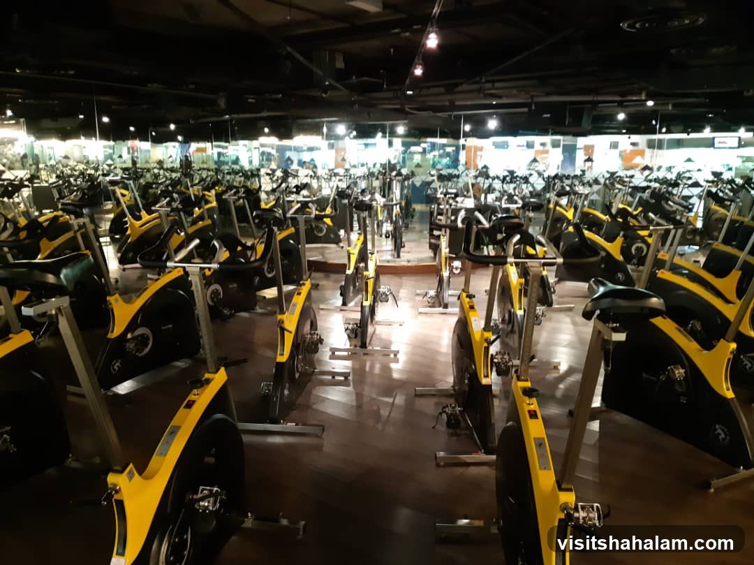 Celebrity Fitness Gym