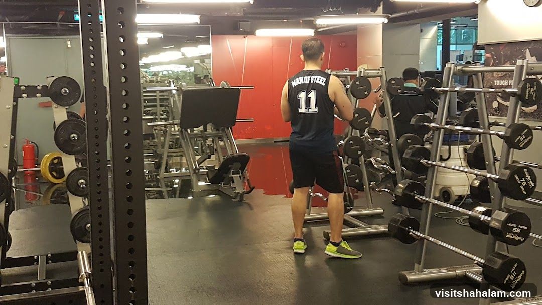 Gym Interior with Weights