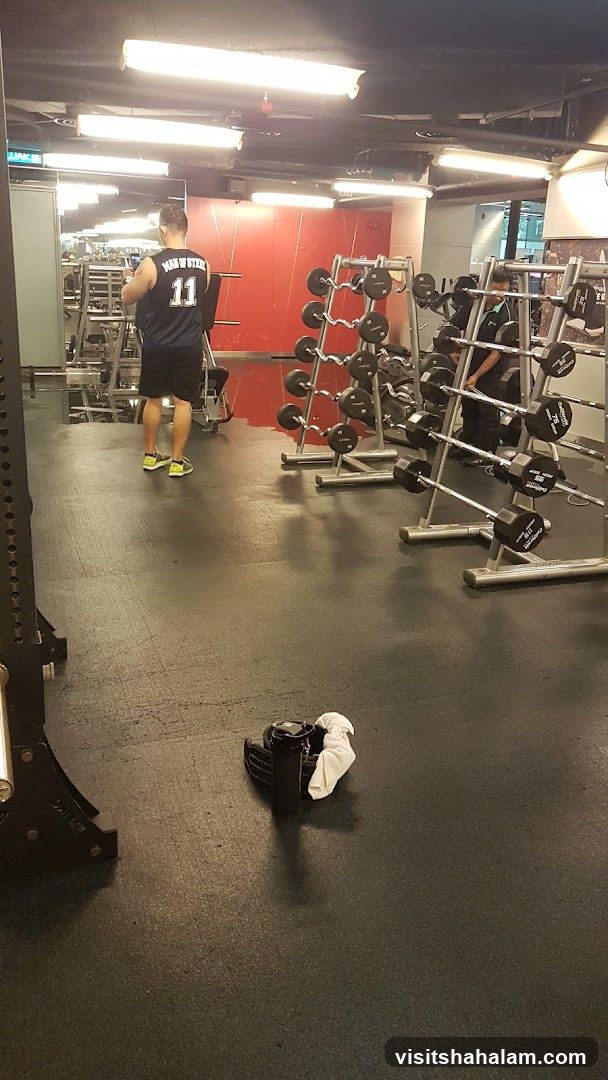 Gym Interior with Weights