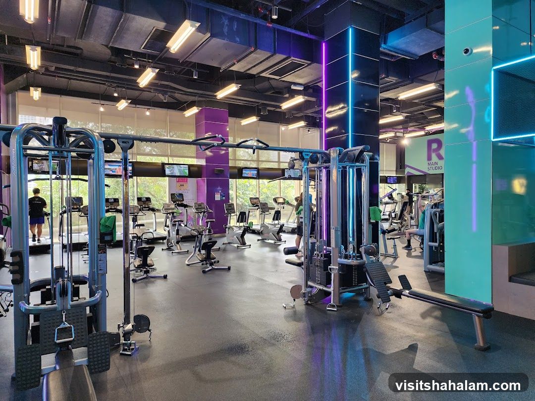 Gym Interior