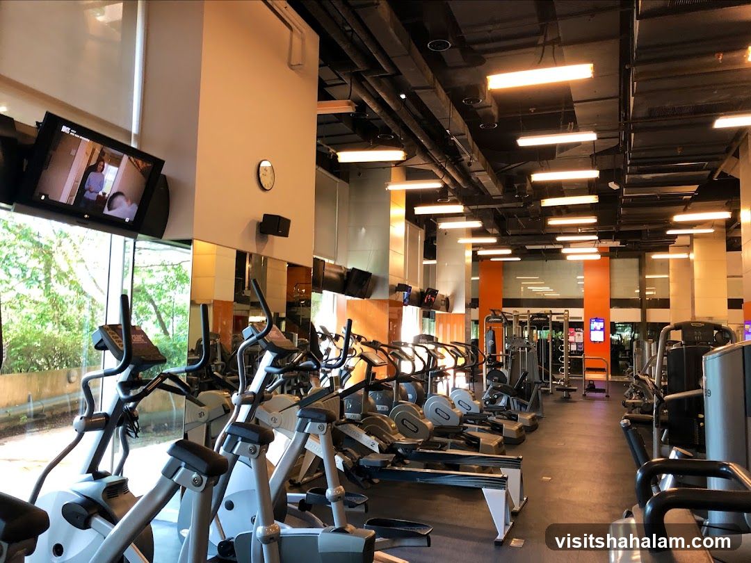 Gym Interior