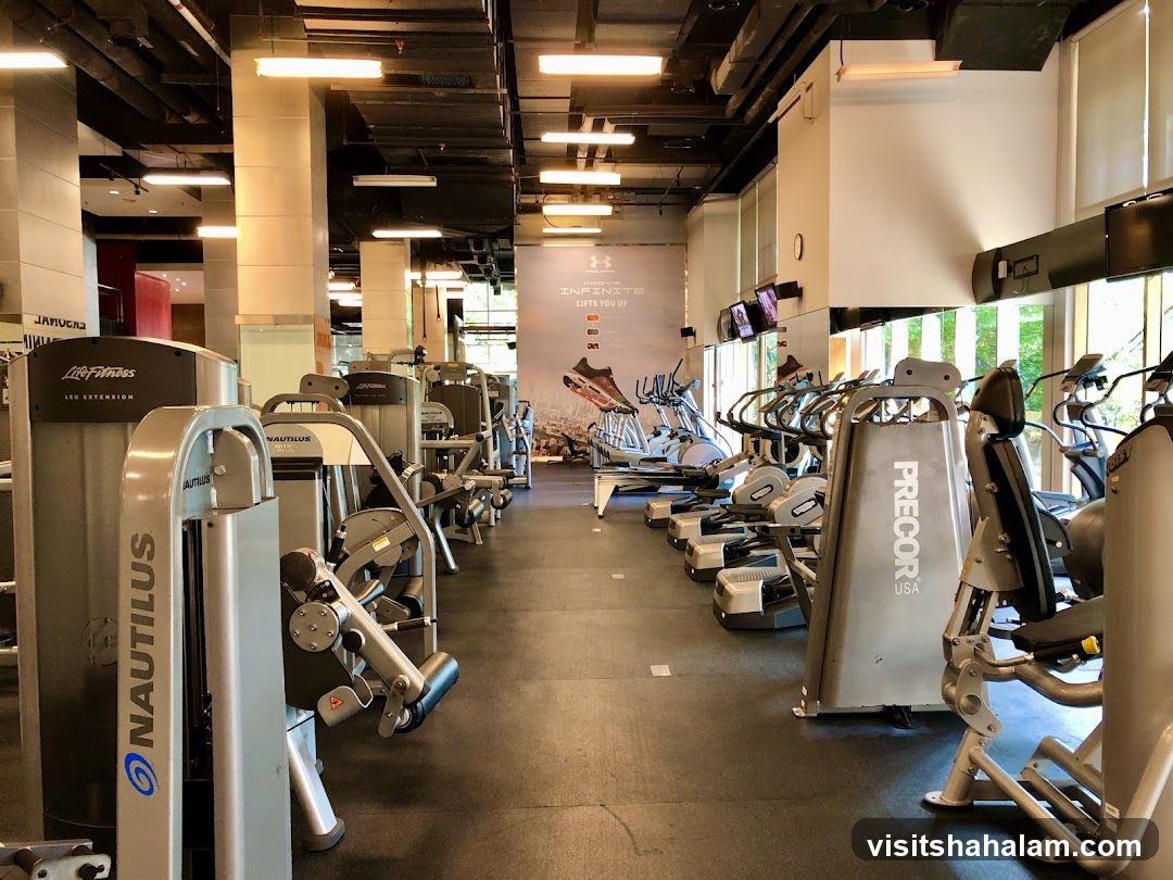 Gym Equipment