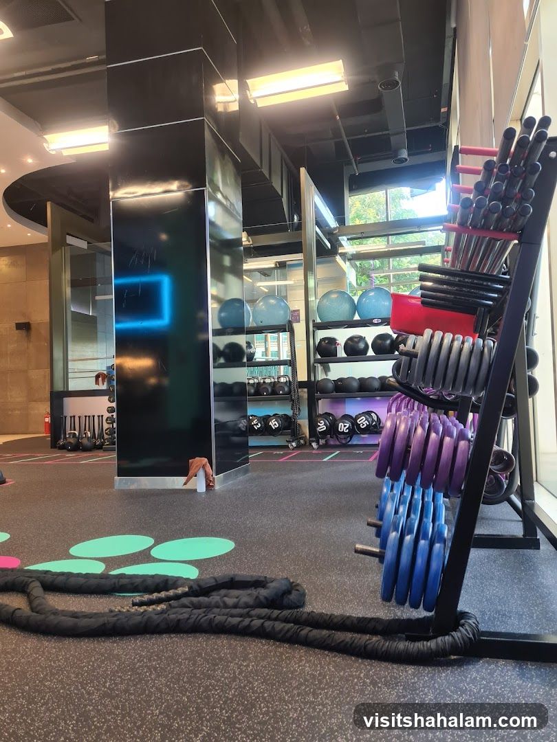 Gym Equipment