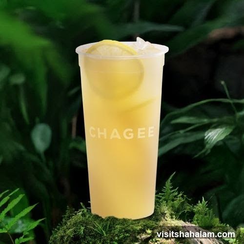 Lemonade Drink