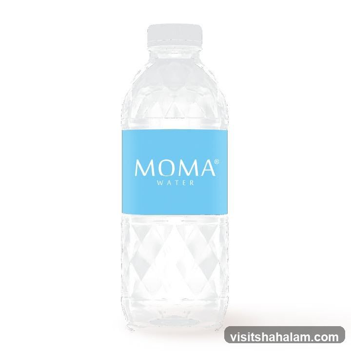 MOMA Water Bottle