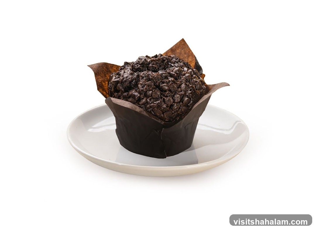 Chocolate Chip Muffin