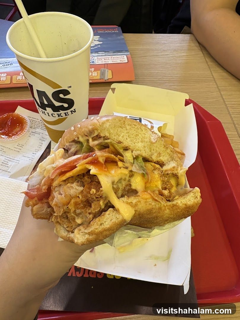 Fried Chicken Burger Meal