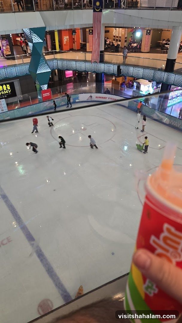 Ice Skating Rink in a Mall