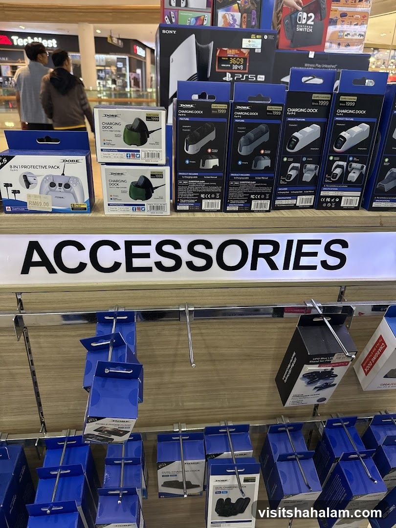 Video Game Accessories