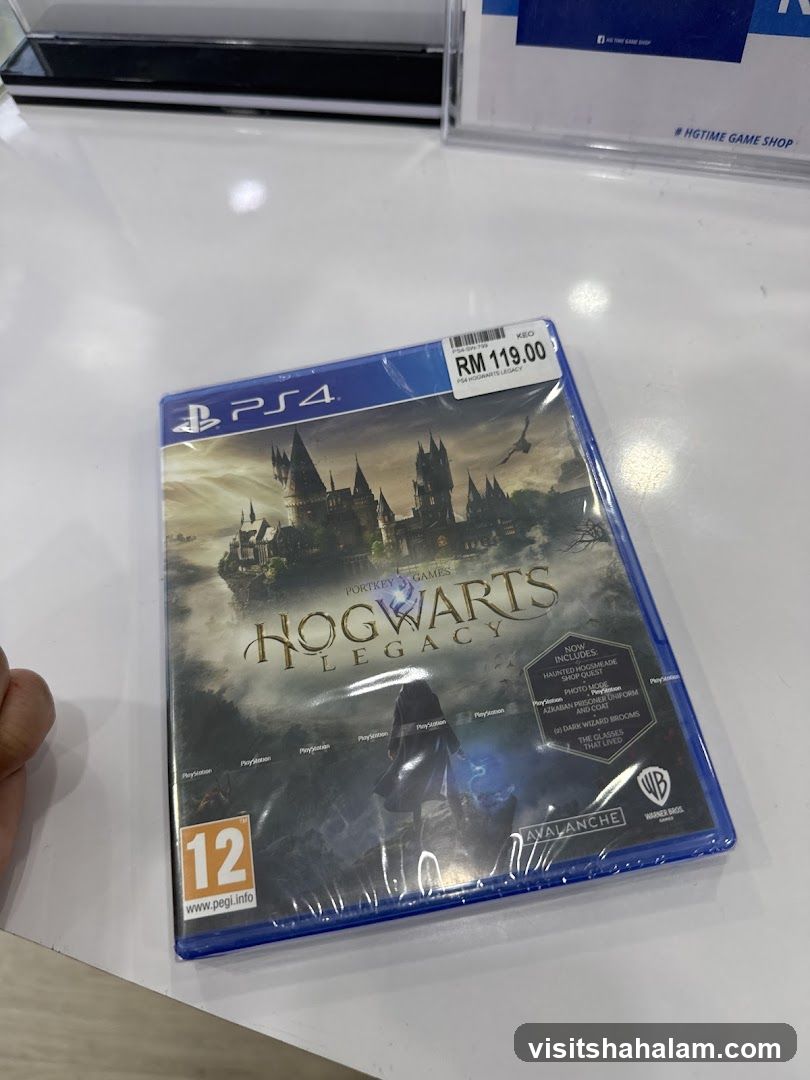 Hogwarts Legacy PS4 Game