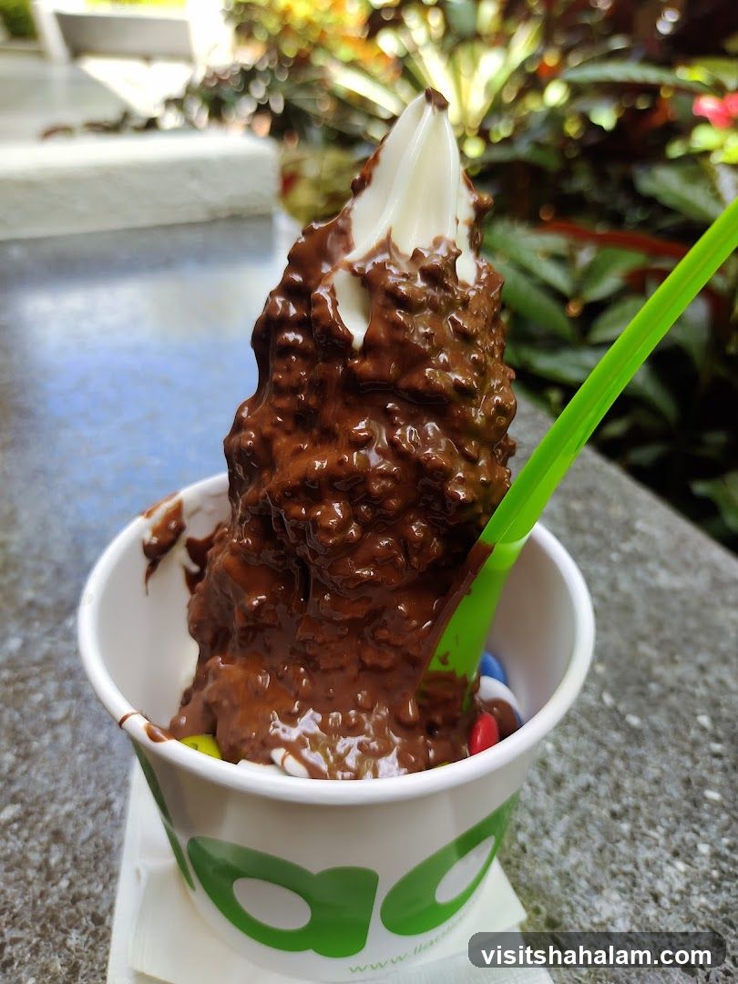 Frozen Yogurt with Chocolate Topping