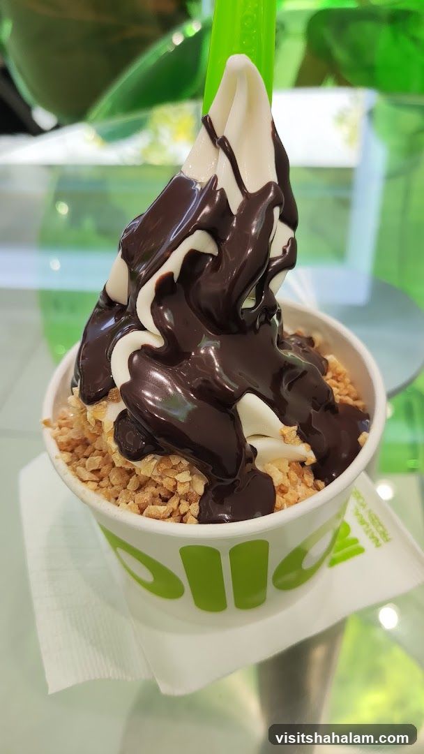 Frozen Yogurt with Chocolate Drizzle and Nuts