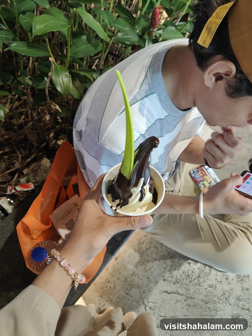Soft Serve Ice Cream with Chocolate Drizzle