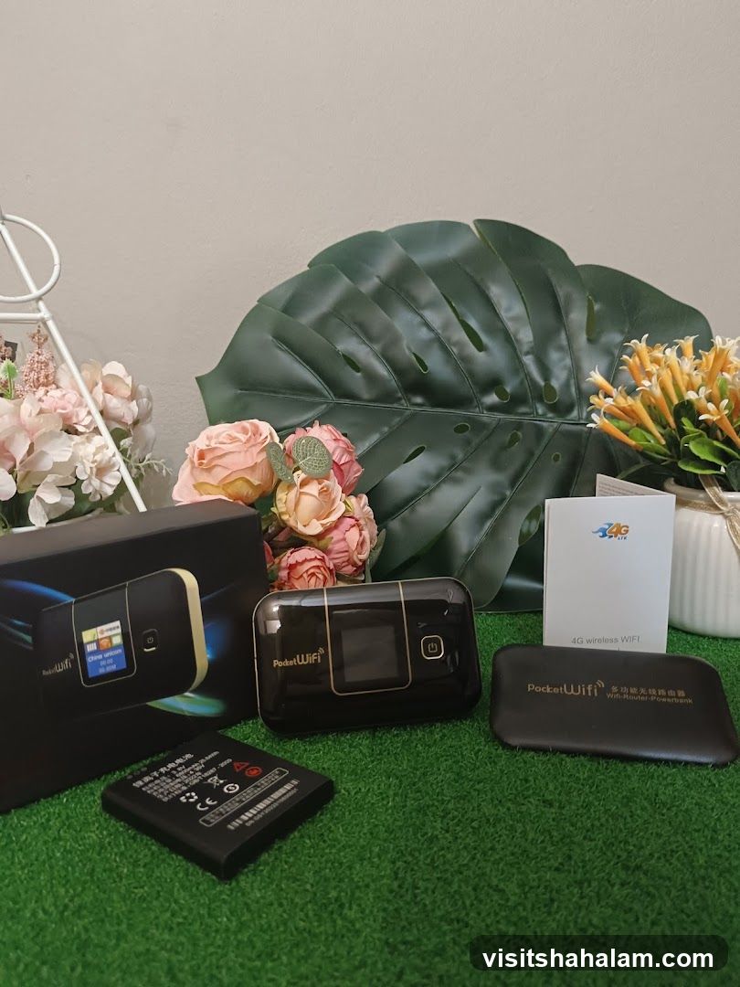 Pocket WiFi Devices and Accessories
