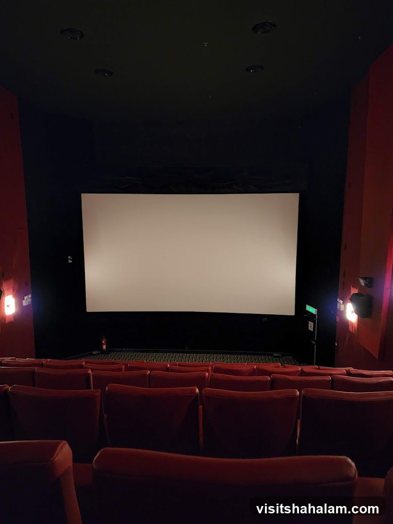 Empty Cinema Auditorium