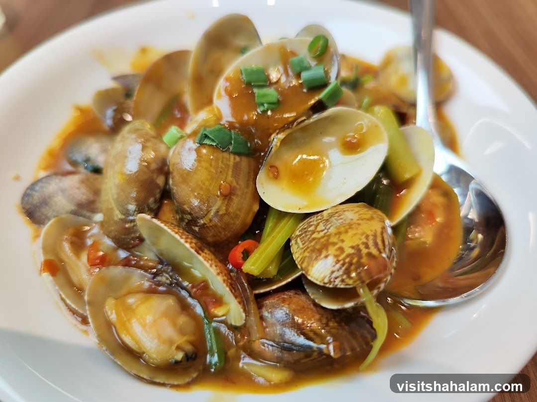 Clams in Sauce