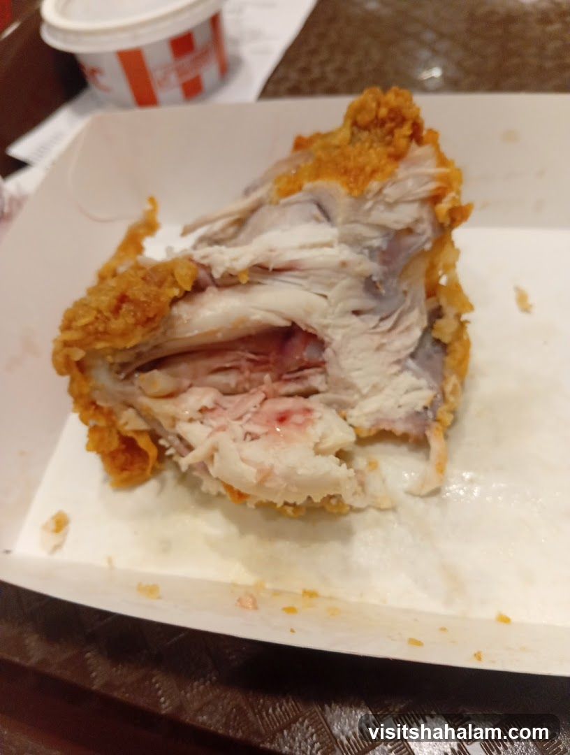 Fried Chicken Piece