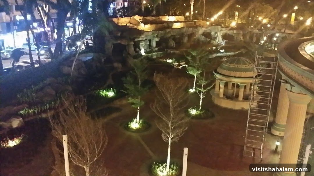 Nighttime park with illuminated trees and structures