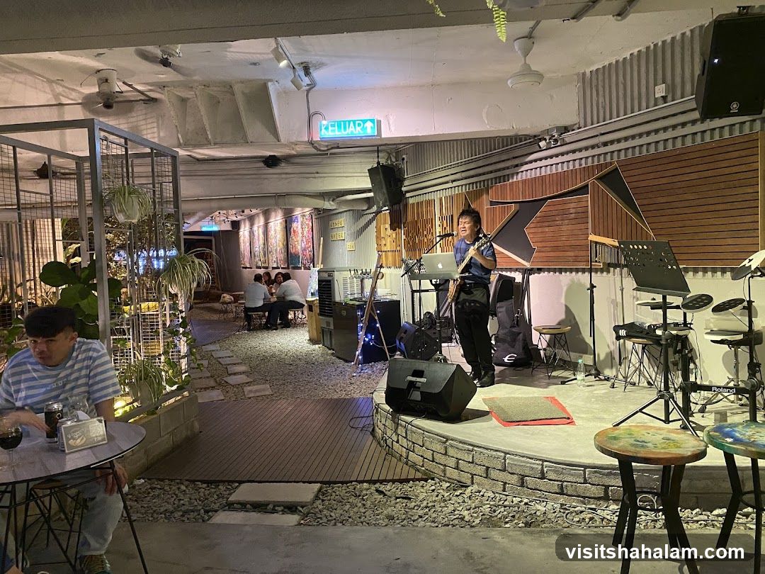 Live Music Performance