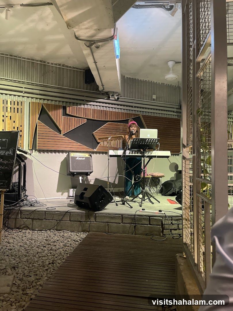Live Music Performance