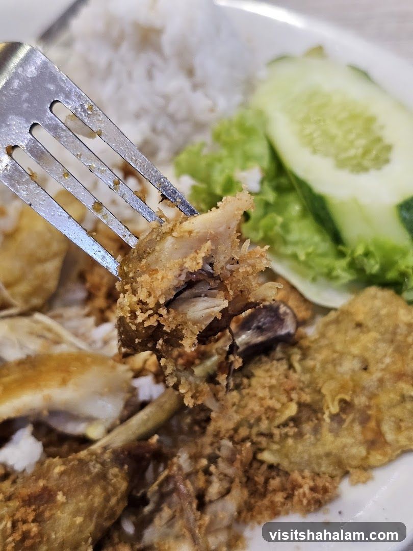 Fried Chicken with Rice