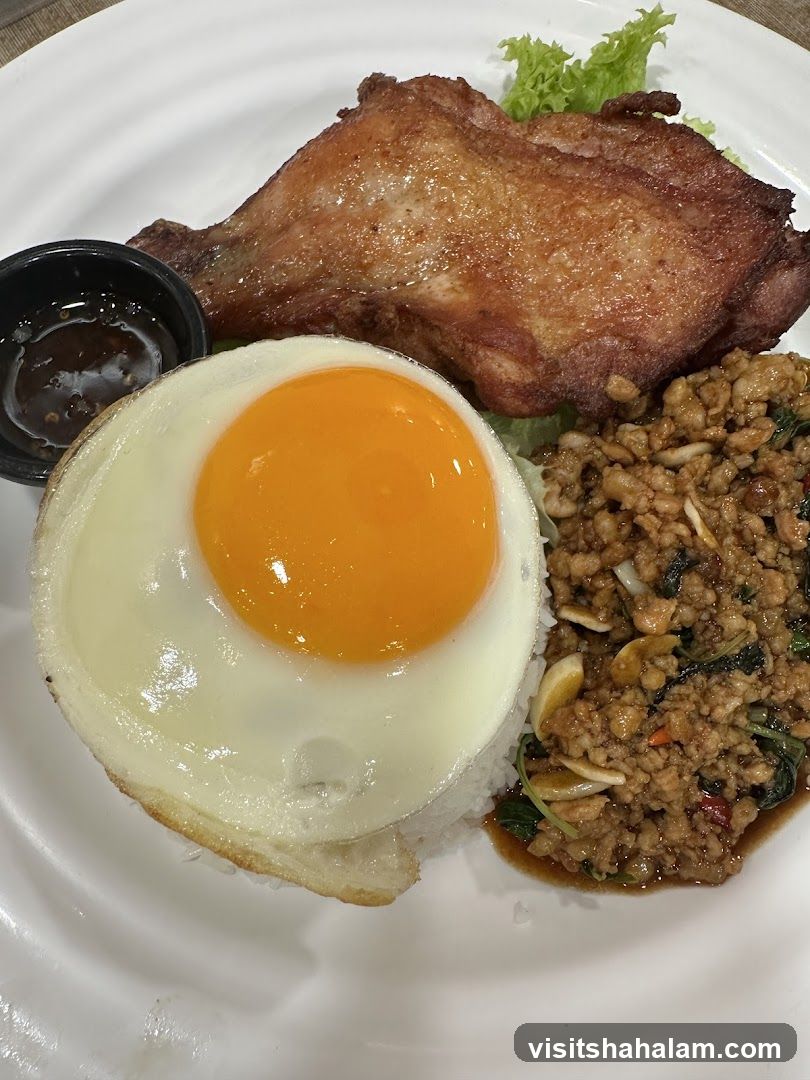 Fried Chicken with Rice and Egg