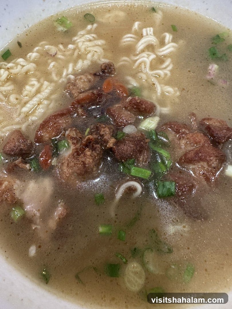 Noodle Soup with Meat and Green Onions
