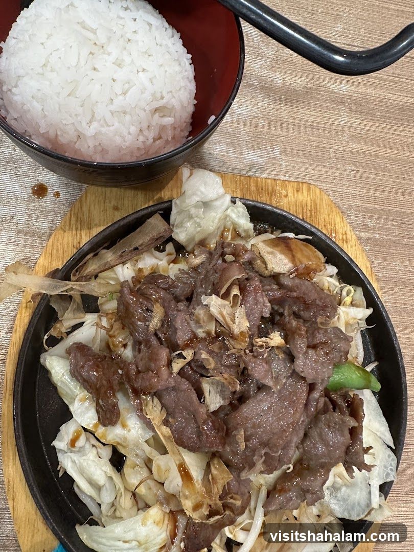 Sizzling Beef with Rice