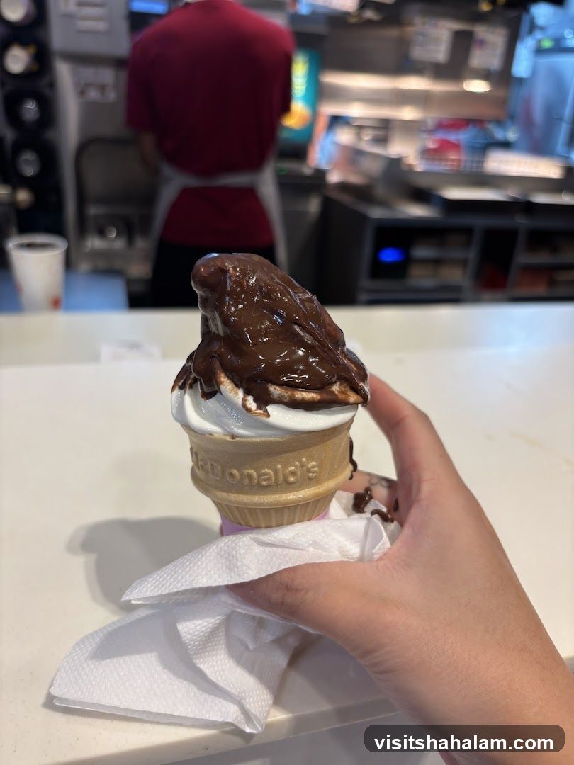 Ice Cream Cone with Chocolate Topping
