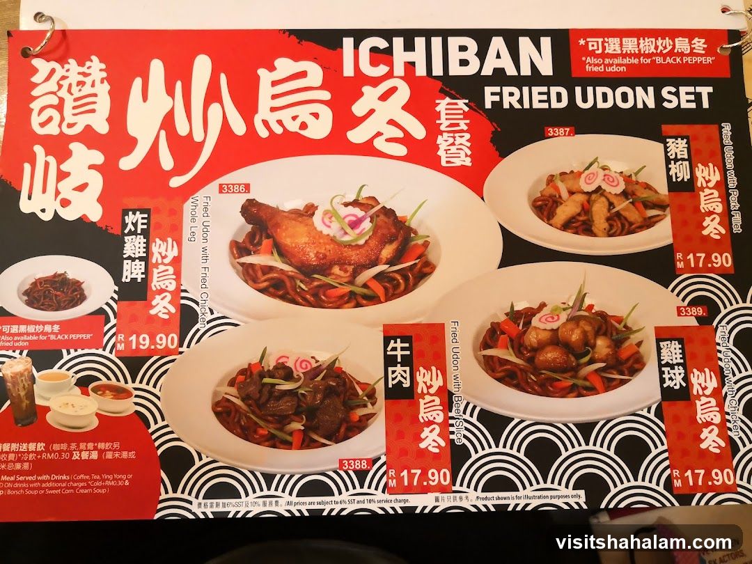 Ichiban Fried Udon Set
