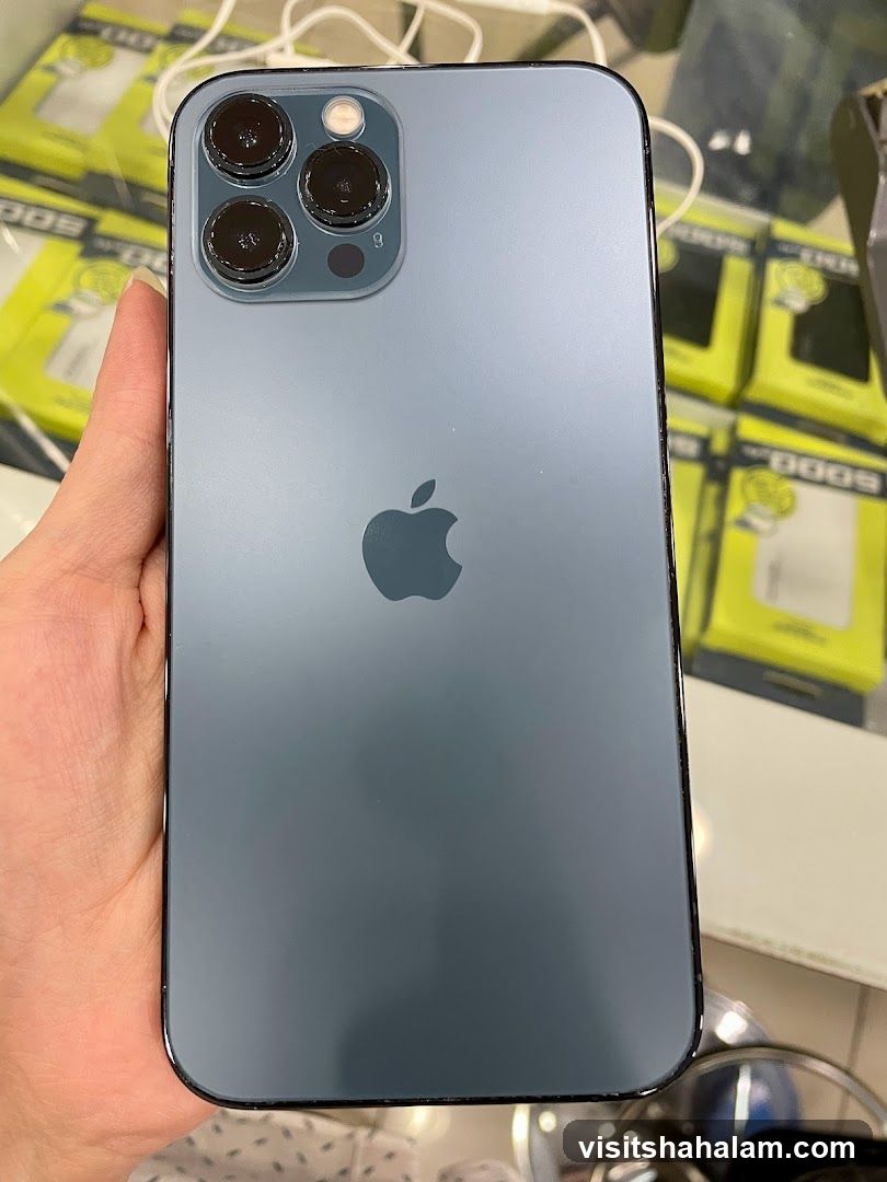 iPhone 12 Pro Max