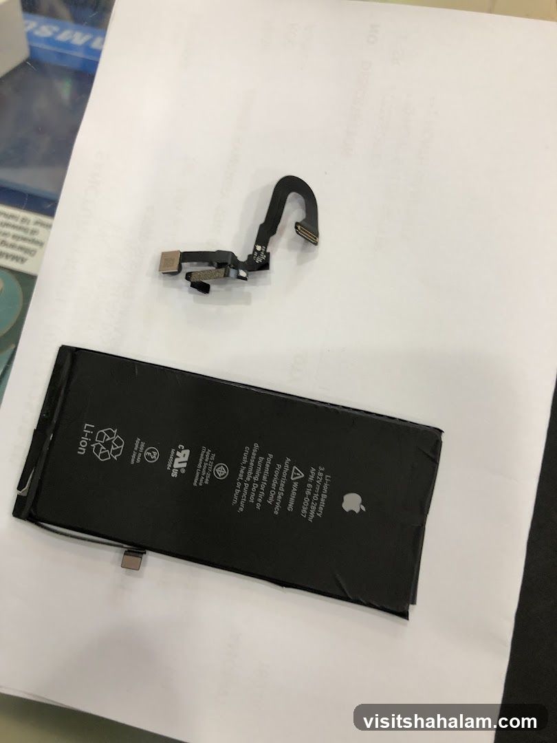 iPhone Battery and Flex Cable