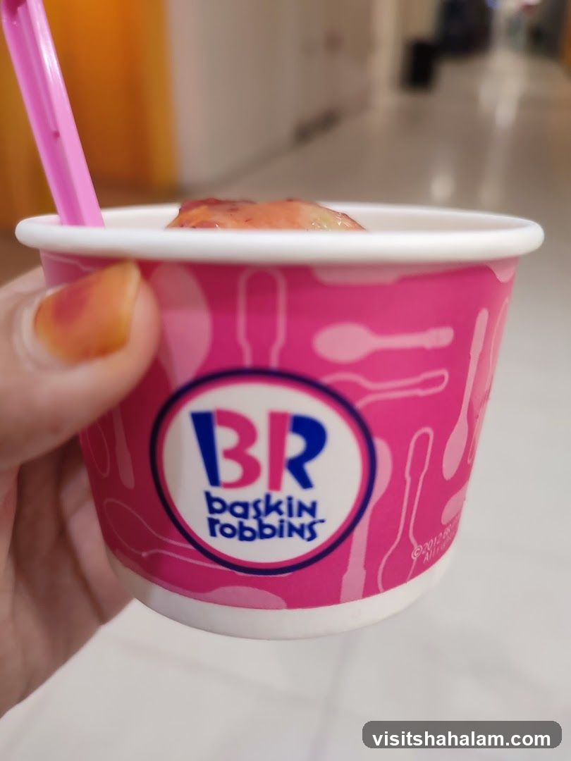 Baskin Robbins Ice Cream Cup