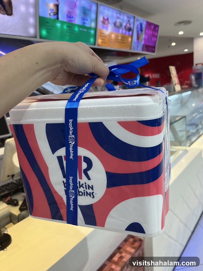 Baskin Robbins Ice Cream Container